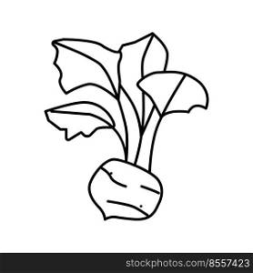kohlrabi cabbage line icon vector. kohlrabi cabbage sign. isolated contour symbol black illustration. kohlrabi cabbage line icon vector illustration