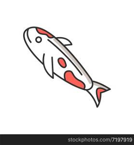 Koi carp RGB color icon. Japanese fish as luck symbol. Exotic chinese goldfish. White fish with red spots. Underwater wildlife animal. Cath and lure, fishery. Isolated vector illustration