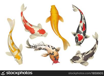 Koi fish. Cartoon Chinese traditional garden pond carp. Oriental Japanese goldfish collection. Nature Zen. Isolated golden underwater pets. Asian tattoo template. Vector colorful water animals set. Koi fish. Cartoon Chinese traditional pond carp. Oriental Japanese goldfish collection. Nature Zen. Isolated underwater pets. Asian tattoo template. Vector colorful water animals set