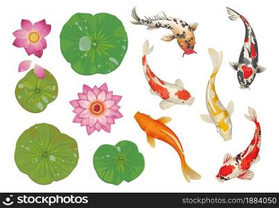 Koi fish in pond. Cartoon traditional oriental scene with golden spotted carp, lotus leaves and flowers. Isolated Japanese water pool decoration natural elements set. Vector botanical Asian background. Koi fish in pond. Cartoon traditional oriental scene with golden carp, lotus leaves and flowers. Japanese water pool decoration natural elements set. Vector botanical Asian background