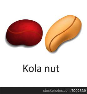 Kola nut mockup. Realistic illustration of kola nut vector mockup for web design isolated on white background. Kola nut mockup, realistic style