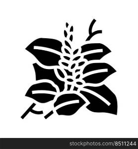 kudzu plant glyph icon vector. kudzu plant sign. isolated symbol illustration. kudzu plant glyph icon vector illustration