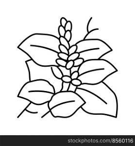 kudzu plant line icon vector. kudzu plant sign. isolated contour symbol black illustration. kudzu plant line icon vector illustration