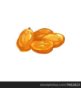 Kumquat dried fruits, dry food snacks and fruit sweets, isolated vector icon. Dried kumquat or cumquat, sweet dessert, culinary fruity ingredient, natural organic dehydrated food. Kumquat dried fruits, dry food snack and sweets