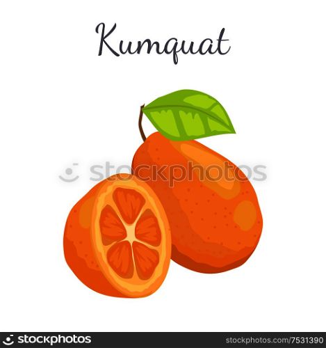 Kumquat exotic juicy fruit whole and cut vector isolated, citrus with leaf. Tropical edible food, dieting illustration, vegetarian icon full of vitamins. Kumquat Exotic Juicy Fruit Vector Isolated Citrus