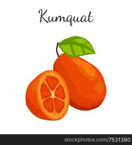 Kumquat exotic juicy fruit whole and cut vector isolated, citrus with leaf. Tropical edible food, dieting illustration, vegetarian icon full of vitamins. Kumquat Exotic Juicy Fruit Vector Isolated Citrus