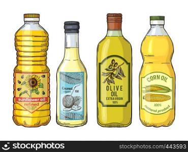 Labels for different oils. Sunflower, olive, corn and coconut. Vector pictures set. Bottle oil sunflower and coconut illustration. Labels for different oils. Sunflower, olive, corn and coconut. Vector pictures set