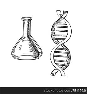 Laboratory flask and model of DNA helix isolated on white background for science theme design. Outline sketch style. Laboratory flask and DNA helix