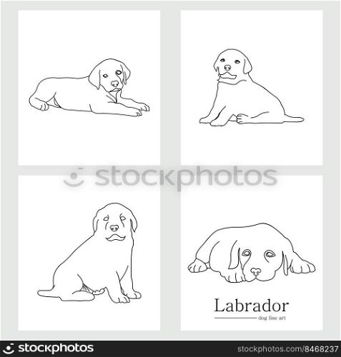 labrador dog line art