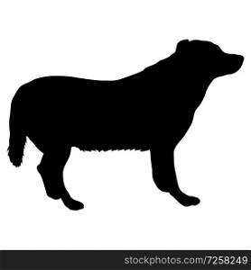 Labrador dog silhouette on a white background.. Labrador dog silhouette on a white background