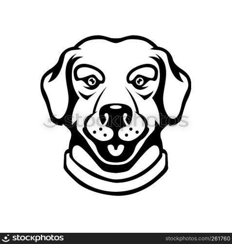 Labrador head illustration in engraving style. Design element for logo, label, sign, poster, t shirt. Vector illustration