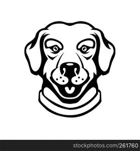 Labrador head illustration in engraving style. Design element for logo, label, sign, poster, t shirt. Vector illustration
