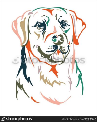 Labrador retriever dog color contour portrait. Dog head in front view vector illustration isolated on white. For decor, design, print, poster, postcard, sticker, t-shirt, cricut, tattoo and embroidery. Labrador retriever dog vector color contour portrait vector