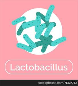 Lactobacillales bacteria useful for human body and digestive system. Lactobacillus probiotics for microflora and digestion. Bacterium or supplement for healthy functioning. Vector in flat style. Lactobacillus Probiotics for Healthy Digestion