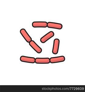 Lactobacillus microorganisms virus bacteria, probiotics isolated color line icon. Vector healthy organism chemical microbe, gastrointestinal therapy prebiotics. Bifidobacterium, positive bacterium. Probiotics lactobacillus isolated microorganisms
