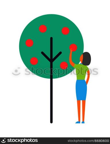 Lady working in garden, isolated vector icon. Woman plucking fruit from tree, hand drawn emblem, round apples and crown design, cartoon style badges. Lady Working in Garden, Isolated Vector Icon.