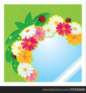 ladybirds and daisies - summer card with empty space for your text