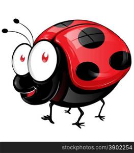 ladybug cartoon . ladybug cartoon isolated on white background