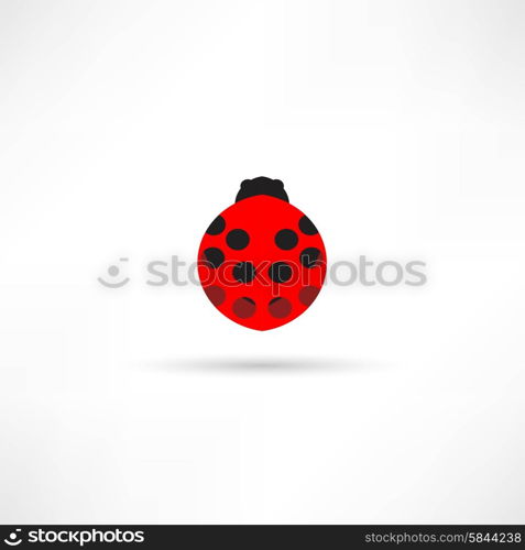 Ladybug icon