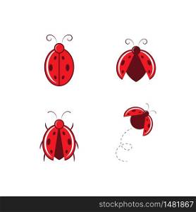 Ladybug logo and icon vector template