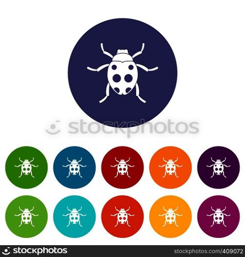 Ladybug set icons in different colors isolated on white background. Ladybug set icons