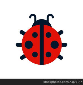 Ladybug with dots, bug creature with antenna and pattern on body, lady beetle with little legs vector illustration isolated on white background. Ladybug with Dots Creature Vector Illustration