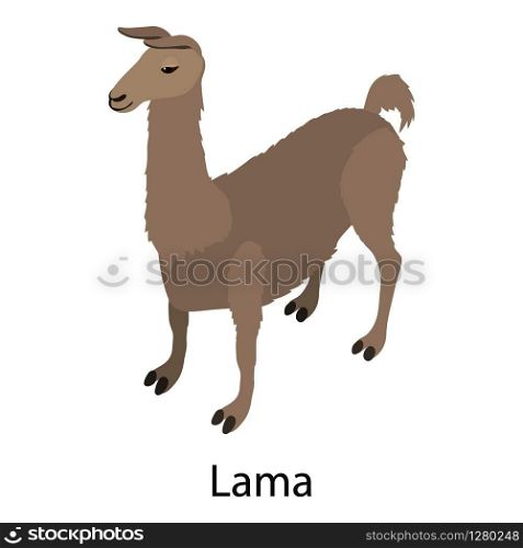 Lama icon. Isometric illustration of lama vector icon for web. Lama icon, isometric style