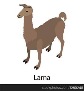 Lama icon. Isometric illustration of lama vector icon for web. Lama icon, isometric style