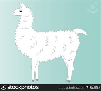 Lama of white coloring, fluffy, fur on a blue background