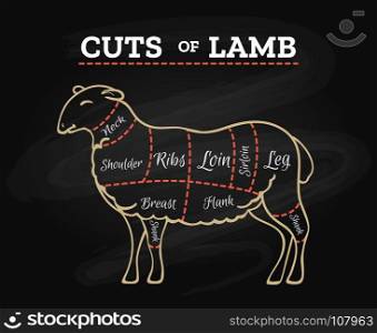 Lamb butcher chalkboard scheme. Lamb cuts chart. Sheeps or lambs meat steak butcher chalkboard scheme in retro hand drawn style vector illustration
