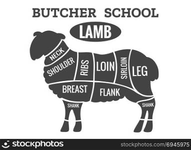 Lamb cutting guide for butcher shop. Lamb cutting. Sheep meat cut guide for butcher shop vector illustration