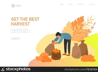 Landing page template with People gathering crops or seasonal harvest, collecting ripe vegetables. Men, women work on a farm. Agricultural workers in autumn. Cartoon vector illustration. Landing page template with People gathering crops or seasonal harvest, collecting ripe vegetables. Men, women work on a farm. Agricultural workers in autumn. Cartoon vector