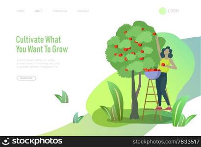 landing page with Harvesting and gardening people woman doing farming and garden job, planting, lay ripe apple from tree to box. Reaping crop concept. Harvesting and gardening people doing farming and garden job, pick berries, remove weeds, watering, planting, growing and transplant sprouts, lay ripe vegetables to box. Reaping crop