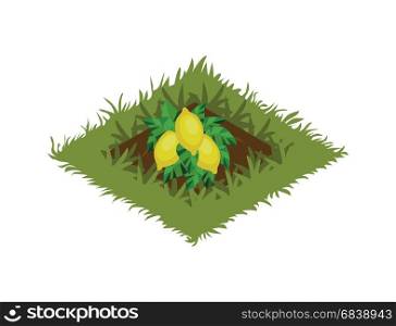 Landscape Design or Game Object Set in Colorful Detailed Vector Web, Illustration, Banner or Game. Isometric Cartoon Fruit Garden Bed Planted with Lemon Tree - Tileset Map Element