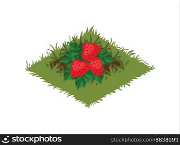 Landscape Design or Game Object Set in Colorful Detailed Vector Web, Illustration, Banner or Game. Isometric Cartoon Fruit Garden Bed with Strawberry Bush Plant - Tileset Map
