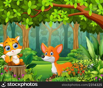 Landscape forest cartoon of green in spring with two fox