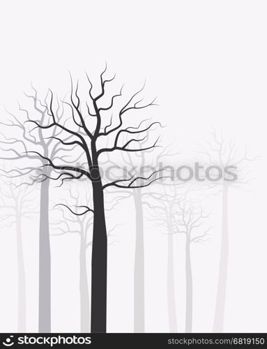 Landscape with forest. Vector illustration trees. Landscape background with forest