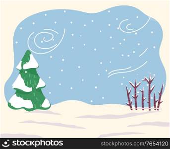 Landscape with trees and bushes covered with snow. Blizzard in tranquil rural area or countryside. Wintertime with traditional snowfalls and frosts. Cold weather in forest with pine spruce vector. Winter Weather Blizzard in Forest, Snowy Ground