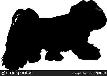 Lap dog silhouette on a white background. Lap dog silhouette on a white background.
