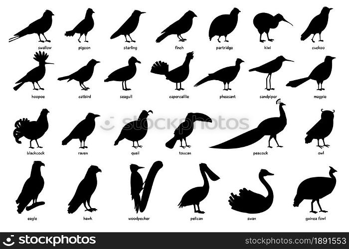 Large Collection of black silhouettes of different birds