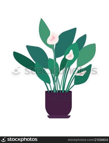 Large indoor flower semi flat color vector object. Realistic item on white. Greenery in pot for office decortaion isolated modern cartoon style illustration for graphic design and animation. Large indoor flower semi flat color vector object