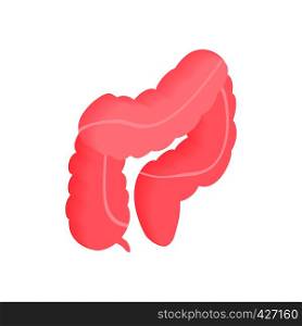 Large intestine isometric 3d icon. Pink colon symbol on a white background. Large intestine isometric 3d icon