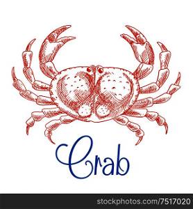 Large red ocean crab isolated sketch icon with raised pincers and text Crab below. Seafood menu, zoo aquarium mascot, t-shirt print design usage . Red ocean crab with big pincers sketch icon
