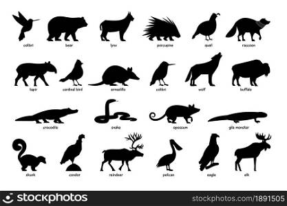 Large set of animals of North America