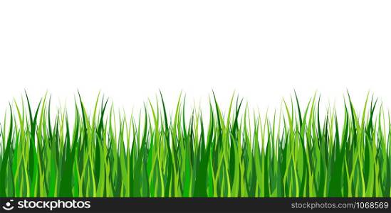 Large set of fresh green spring grass borders in lengths and densities for use as design elements isolated on white background. Vector illustrations