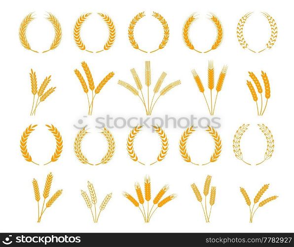 Laurel wreath, spikes of wheat, rye, barley cereal ears, vector, rice millet icons. Bread bakery yellow wheat stalks in heraldic laurel wreath for wheat grain food and farm agriculture. Laurel wreath, spikes of wheat, rye or barley ears