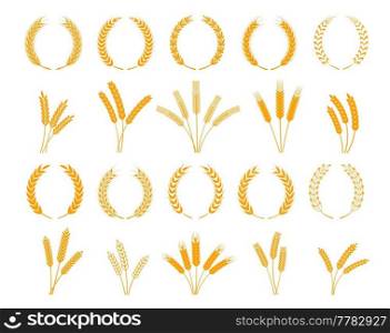 Laurel wreath, spikes of wheat, rye, barley cereal ears, vector, rice millet icons. Bread bakery yellow wheat stalks in heraldic laurel wreath for wheat grain food and farm agriculture. Laurel wreath, spikes of wheat, rye or barley ears