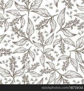 Laurus nobilis or laurel leaf seamless pattern. Herbs and spices for food flavor. Aromatic dishes cooking. Flower in blossom, decorative plant. Monochrome sketch outline, vector in flat style. Laurel leaf in blossom, foliage of flower seamless pattern