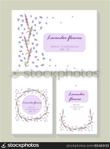 Lavender background card template collection. Vector card
