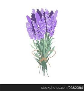 Lavender bouquet. Harvesting lavender. Vector flat illustration. Lavender bouquet. Harvesting lavender.